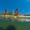 Kayak bic